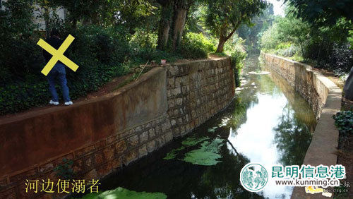 男子當眾小便為植物“施肥” 網(wǎng)友供圖