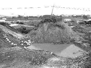煤渣旁的池水已變成藍色?？靾笥浾?曹玉兵 攝