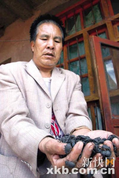 興隆村肺癌患者王建有因經(jīng)濟(jì)困難，吃活臭蟲治療肺癌。
