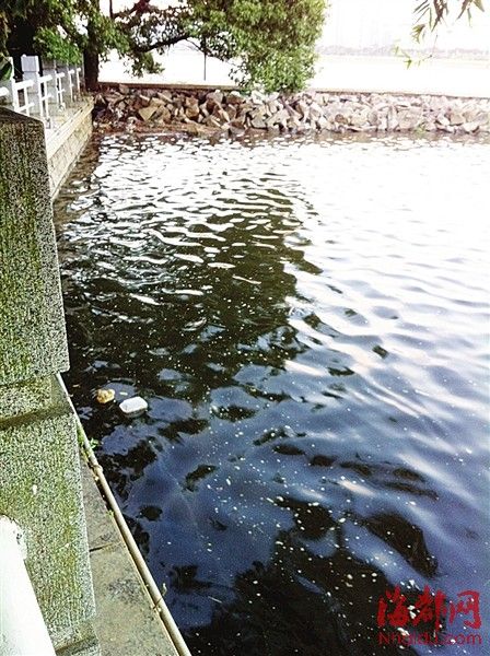 一條5米寬的污水帶，在閩江中綿延三公里