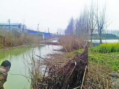 附近一條河流河水呈墨綠色。