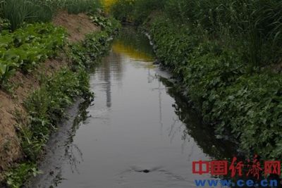 污水在郭莊村附近流入奎旺河的一條支流，順著河道流入上蔡縣，匯入沙河。
