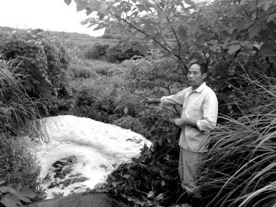 污水流經(jīng)下游灌溉水塘，產(chǎn)生大量泡沫。