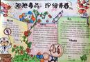 手抄報(bào)：拒絕毒品 珍惜青春