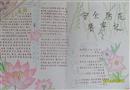 手抄報：安全防范要牢記