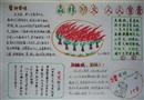 手抄報：森林防火，人人有責