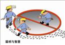 漫畫：聰明與智慧