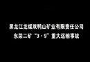 黑龍江龍煤雙鴨山礦業(yè)有限責任公司東榮二礦“3·9”重大運輸事故