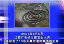 校園安全自救自護(hù)
