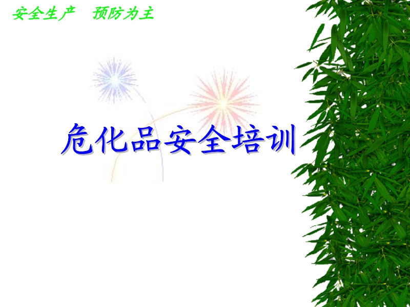 ?；钒踩嘤?xùn)
