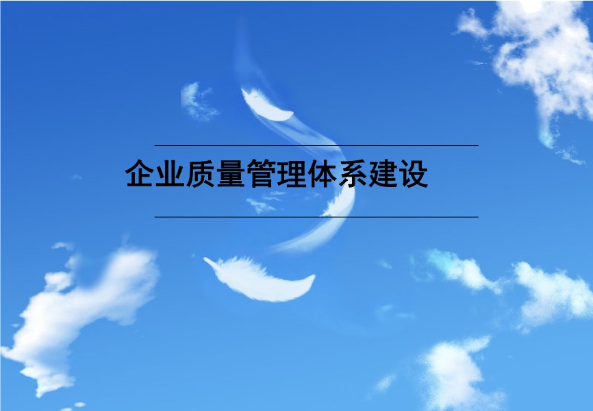 質(zhì)量管理體系