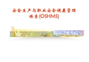安全生產(chǎn)與職業(yè)安全健康管理體系