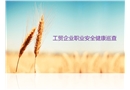 工貿(mào)企業(yè)職業(yè)安全健康巡查