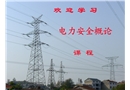 電力安全生產(chǎn)科學(xué)管理