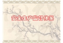 安全生產(chǎn)監(jiān)督體系