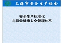 安全生產(chǎn)標準化與職業(yè)健康安全管理體系