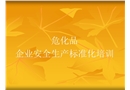 ?；菲髽I(yè)安全生產(chǎn)標(biāo)準(zhǔn)化培訓(xùn)
