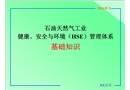 石油天然氣工業(yè)健康、安全與環(huán)境（HSE）管理體系基礎知識