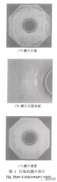 微信圖片_20200430150037.jpg