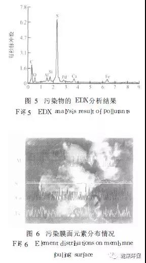 微信圖片_20200430150212.jpg
