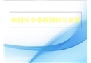 校園安全事故預(yù)防與處理
