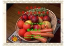 食品安全控制體系培訓講義