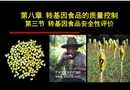 轉(zhuǎn)基因食品的安全性評(píng)價(jià)