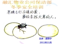 冬季安全教育培訓(xùn)