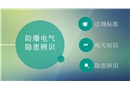 防爆電氣隱患辨識(shí)圖集