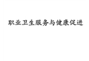 職業(yè)衛(wèi)生服務(wù)與健康促進(jìn)