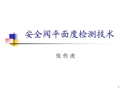 電站安全閥平面度檢測(cè)技術(shù)