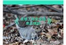 裝修工地安全隱患及預(yù)防