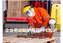 企業(yè)勞動防護(hù)用品PPE知識