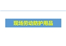 現(xiàn)場勞動防護(hù)用品的使用和管理