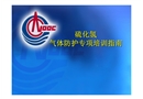循環(huán)硫化床培訓