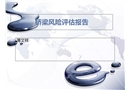 橋梁風(fēng)險(xiǎn)評估報(bào)告