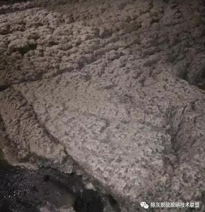 QQ截圖20191106090305.jpg