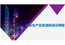 安全生產(chǎn)應(yīng)急演練培訓(xùn)課程