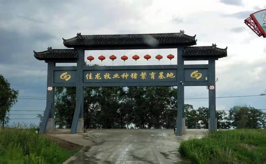 長春市佳龍牧業(yè)有限責(zé)任公司“6.15”較大中毒和窒息事故調(diào)查報告