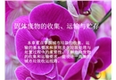 固體廢物的收集、運(yùn)輸與貯存