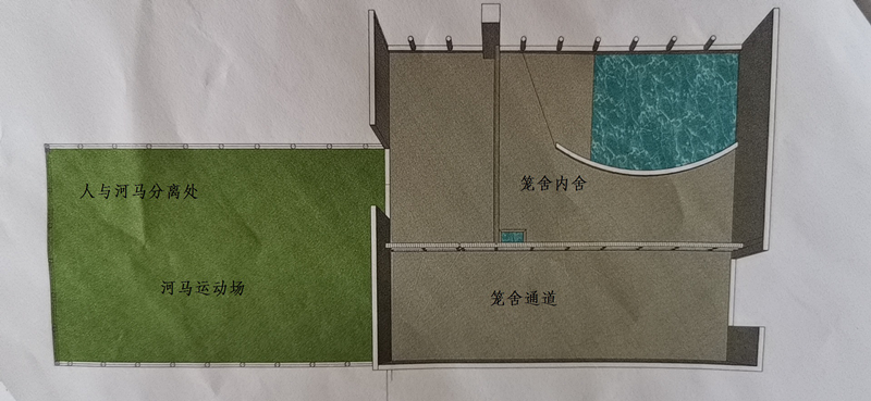 廈門靈玲國際馬戲城“10·9”死亡事故調(diào)查報告