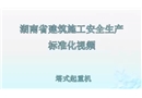建筑施工安全生產(chǎn)標(biāo)準(zhǔn)化系列視頻教程-塔式起重機(jī)