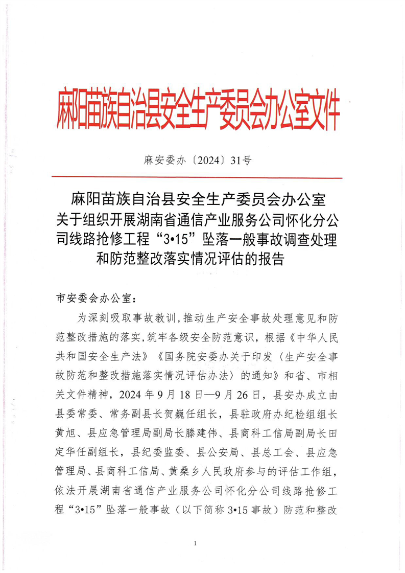 關(guān)于組織開展湖南省通信產(chǎn)業(yè)服務(wù)公司懷化分公司線路搶修工程“3·15”墜落一般事故調(diào)查處理和防范整改落實(shí)情況評(píng)估的報(bào)告