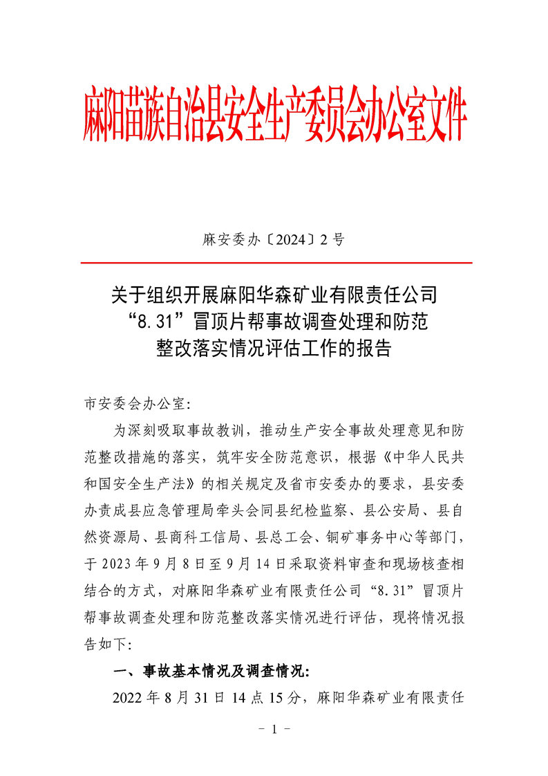 麻陽(yáng)華森礦業(yè)有限責(zé)任公司“8.31”冒頂片幫事故調(diào)查評(píng)估報(bào)告