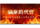 僥幸的代價(jià)——四川省森林草原火災(zāi)警示教育片
