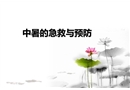 中暑的急救與預(yù)防