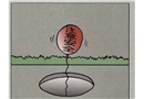 無(wú)題