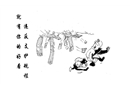 違反支護規(guī)程 就有你的好看
