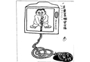 華而不實(shí)
