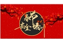 春節(jié)安全培訓(xùn)課件